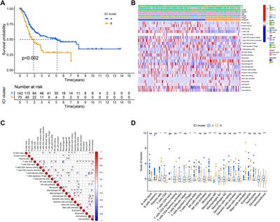 The Immune Cell Infiltration Patterns and Characterization Score in Bladder Cancer to Identify Prognosis